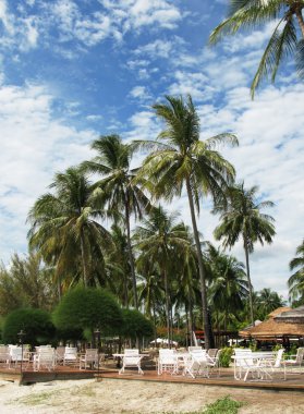 Malezya langkawi adasının kumlu bir plaj Restoran