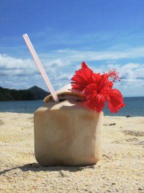 Hindistan cevizi cocktain kumlu bir plaj. Langkawi, Malezya