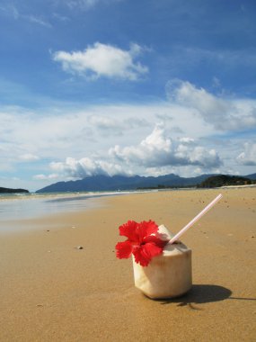 plaj sahnesi. Langkawi Adası, malayisa