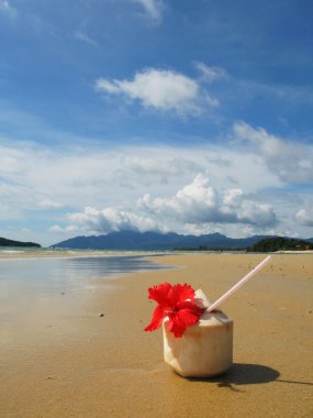 langkawi Adası, Malezya'nın kumlu plajda kokteyl Hindistan cevizi