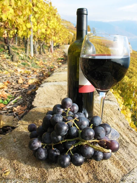 Glass of red wine on the terrace vineyard in Lavaux region, Swit — Stock Photo, Image