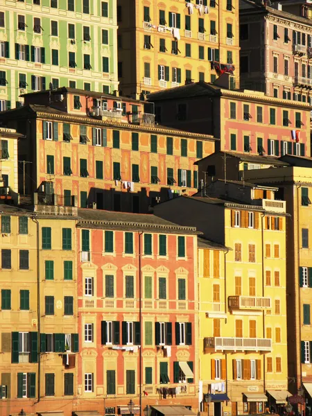 Πολύχρωμα σπίτια σε camogli, Ιταλία — Φωτογραφία Αρχείου