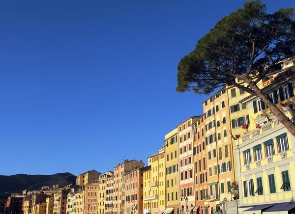 Camogli, Italy — Stock Photo, Image