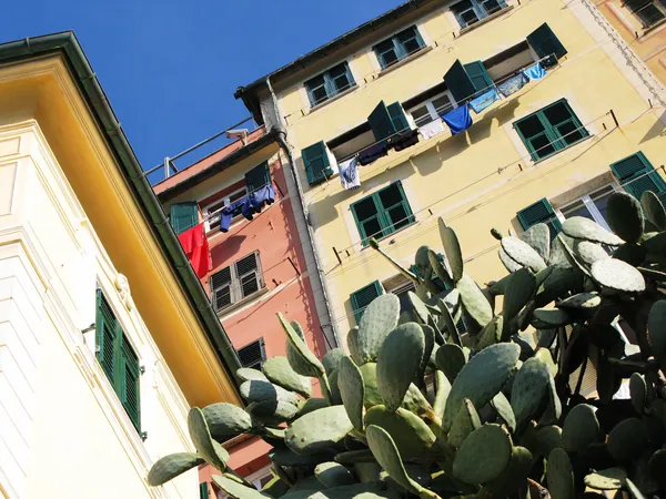 Camogli, Italien — Stockfoto