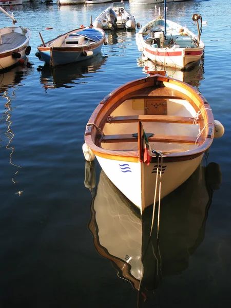 Fiskebåt i hamnen i camogli, Italien — Stockfoto