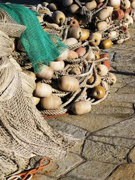 Grono fishnets — Zdjęcie stockowe