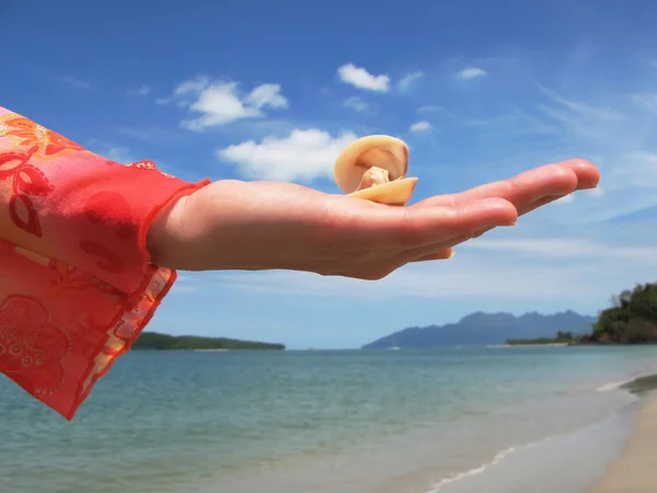Seashell on the hand against sandy beach on Langkawi, Malaysia — Stock Photo, Image
