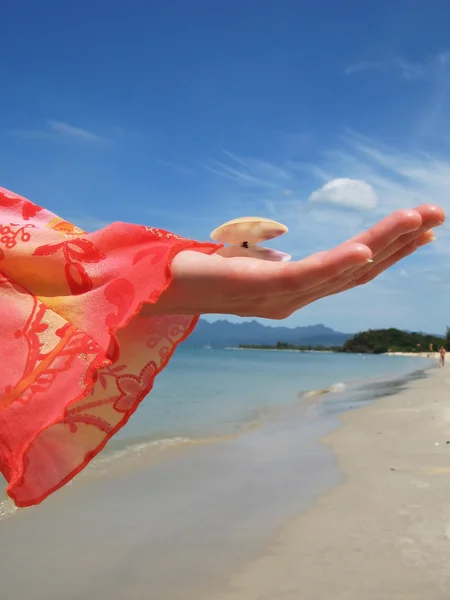 Mujer sostiene una concha de mar contra una playa de arena de la isla Langkawi , — Foto de Stock