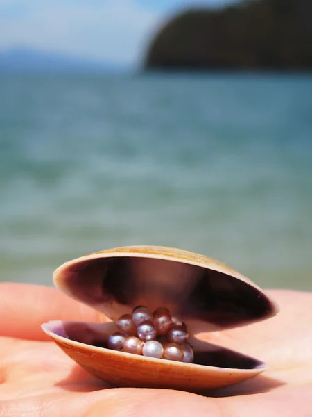 Seashel with a pearl on a hand — Stock Photo, Image