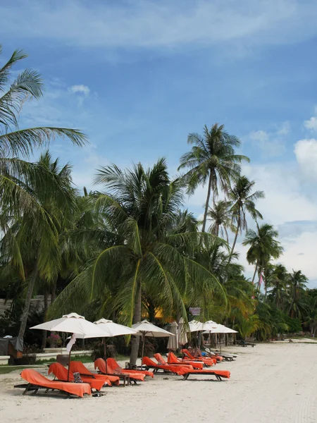 Tropical beach of Langkawi island, Malaysia — Stock Photo, Image