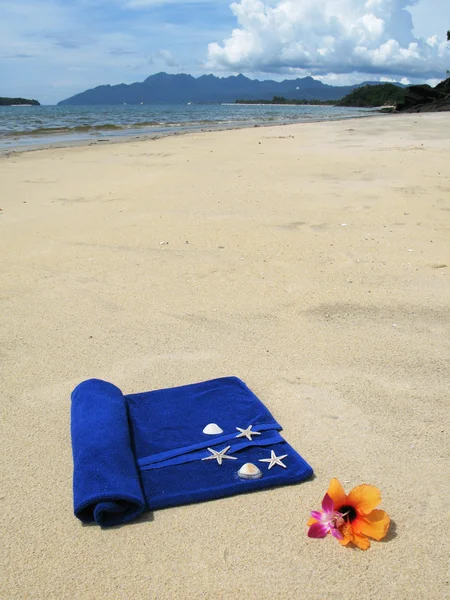 Beach scene — Stock Photo, Image