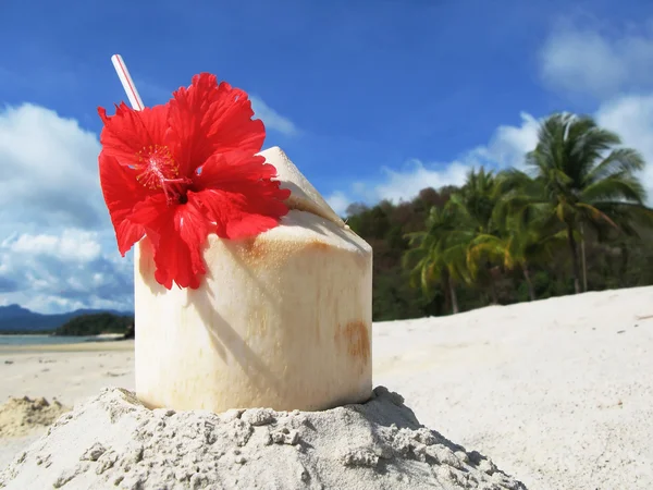 Kokos cocktail på stranden i langkawi island, malaysia — Stockfoto
