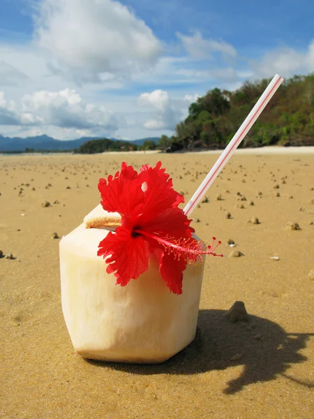 Stranden scen. Langkawi island, malayisa — Stockfoto