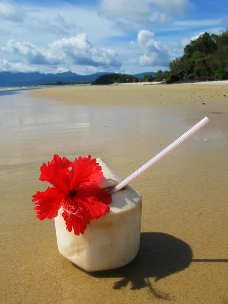 Scena na plaży. Wyspa Langkawi, malayisa — Zdjęcie stockowe