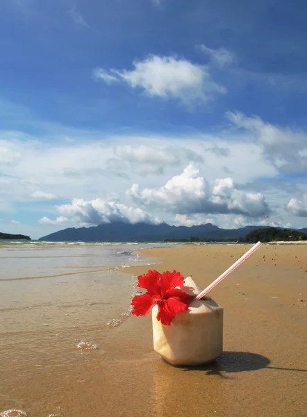 Kokosový koktejl na písečné pláži ostrova langkawi, Malajsie — Stock fotografie