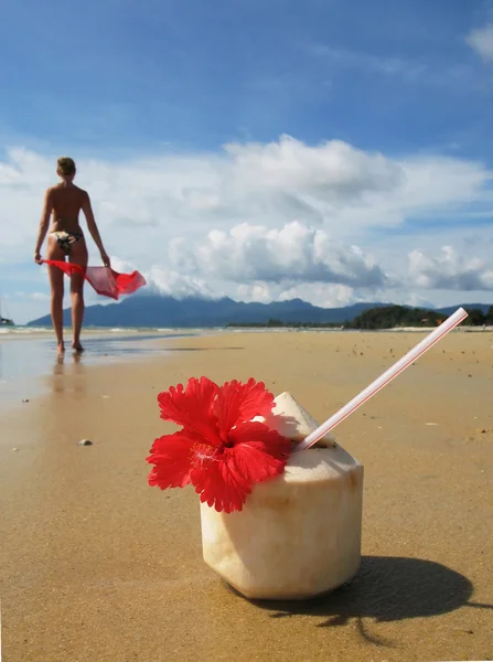 Cocktail de noix de coco sur une plage de sable fin. Langkawi, Malaisie — Photo