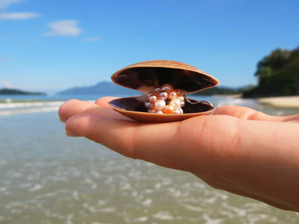 Seashell met een parel op een hand — Stockfoto