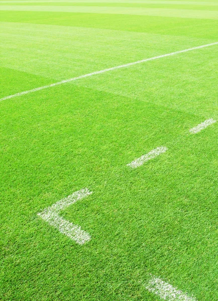 Soccer field — Stock Photo, Image