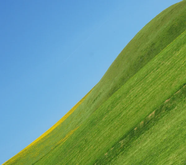 Gras und Himmel — Stockfoto