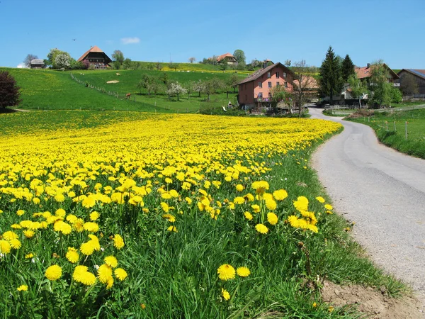 Prato panoramico nella regione di Emmental, Svizzera — Foto Stock