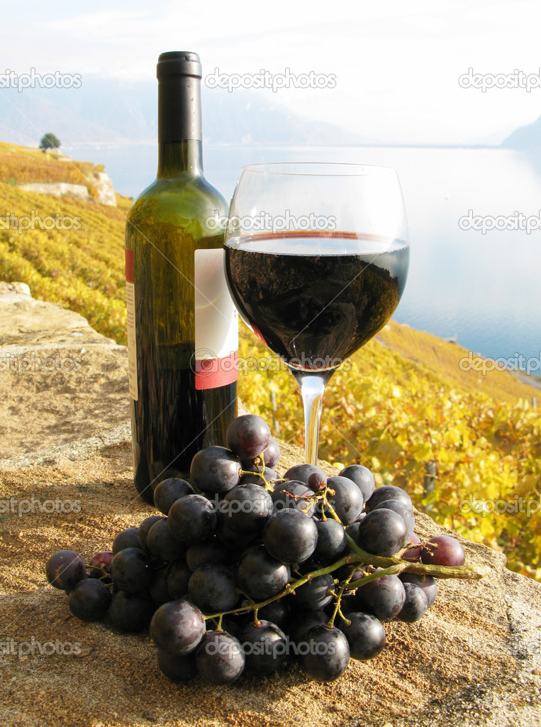 Glass of red wine on the terrace vineyard in Lavaux region, Swit