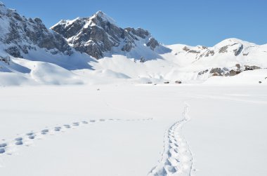 Karda ayak sesleri. melchsee-frutt, İsviçre