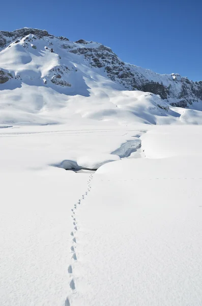 Melchsee-frutt, schweiz — Stockfoto