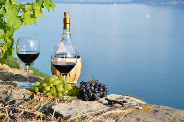 Wein und Trauben — Stockfoto