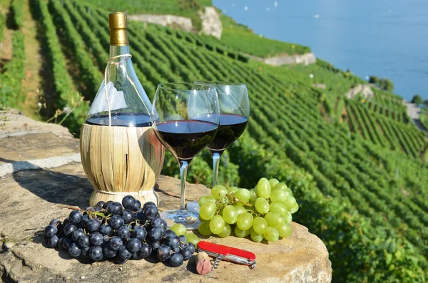 Wine and grapes — Stock Photo, Image