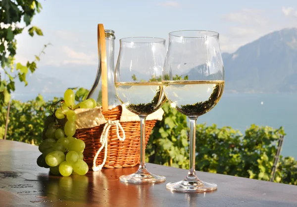 Wein und Trauben — Stockfoto