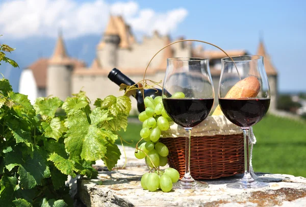 Wine and grapes — Stock Photo, Image