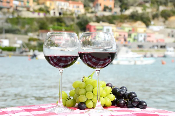 Par de vinhedos e uvas contra o porto de Portvenere — Fotografia de Stock