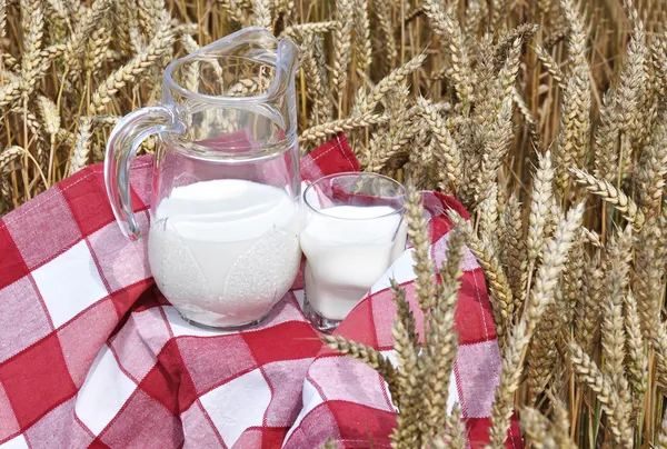 Jug of milk against wheat field — Stock Photo, Image