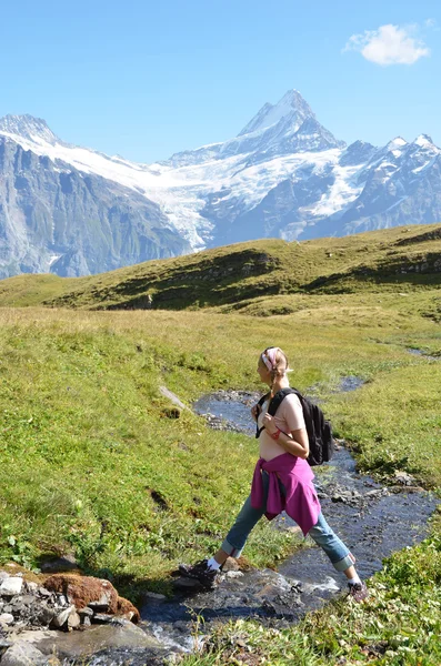 Trekking i de schweiziske alper - Stock-foto