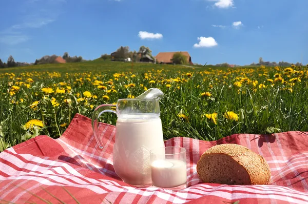 Kruik van melk en brood op de lente-weide. Emmental regio, swi — Stockfoto