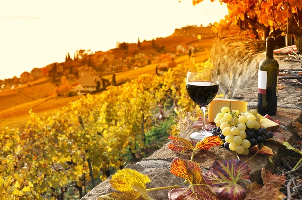 Kieliszek czerwonego wina na tarasie winnic w regionie lavaux, swit Zdjęcie Stockowe