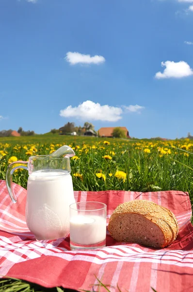 Džbán mléka a chleba — Stock fotografie