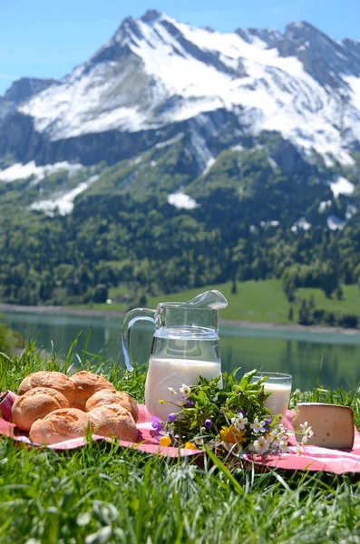 Picnic. — Foto de Stock