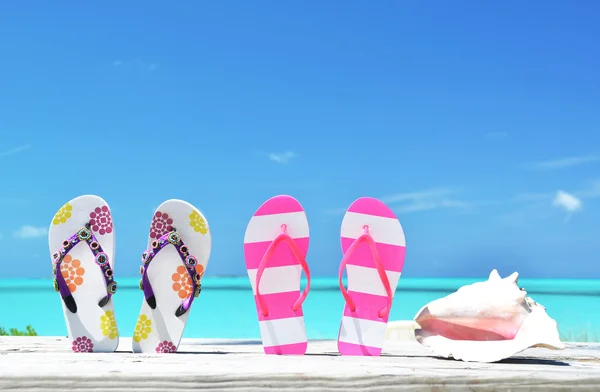 Two pairs of flip-flops and a shell against Atlantic. Exuma, Bahamas — Stock Photo, Image