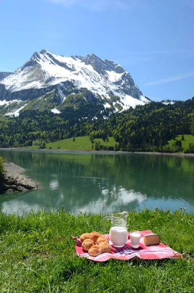 Mléko, sýr a chleba, podávaný na pikniku v alpské louky, s — Stock fotografie