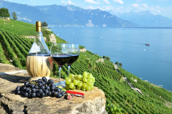 Rotwein und Trauben. lavaux region, Schweiz — Stockfoto