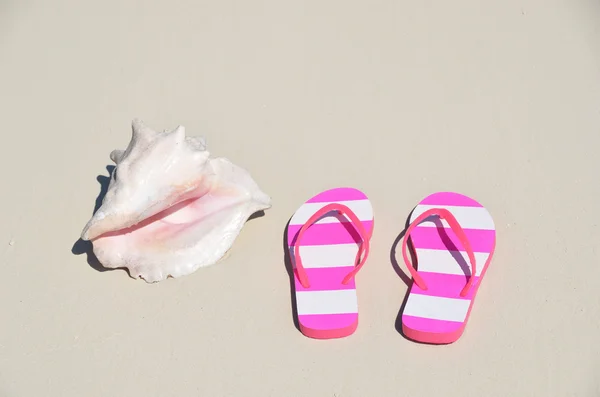 Морская раковина и шлепанцы на песчаном пляже — стоковое фото