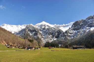 Karaağaç, İsviçre