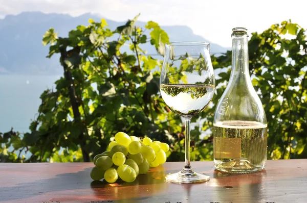 Pair of wineglasses and bunch of grapes. Lavaux region, Switzerl — Stock Photo, Image