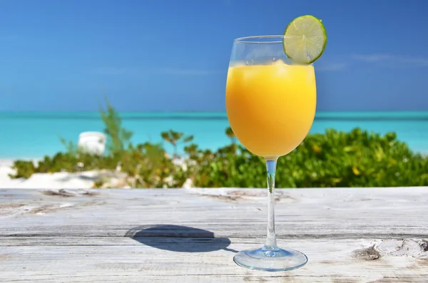 Et glas appelsinjuice. Exuma, Bahamas - Stock-foto