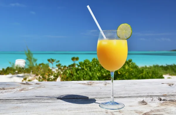 Glass of orange juice. Exuma, Bahamas — Stock Photo, Image