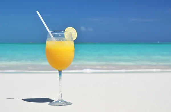 Un vaso de jugo de naranja. Exuma, Bahamas — Foto de Stock