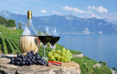 kırmızı şarap ve üzüm. Lavaux bölge, İsviçre