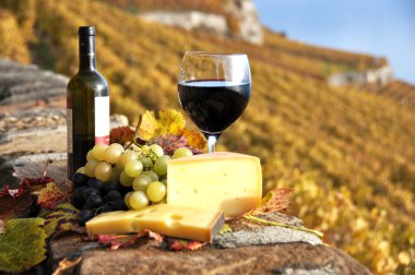 lavaux bölgesinde, swit Teras bağ üzerinde kırmızı şarap