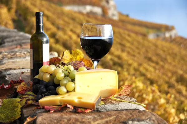 Bicchiere di vino rosso sul vigneto terrazza nella regione Lavaux, Swit — Foto Stock